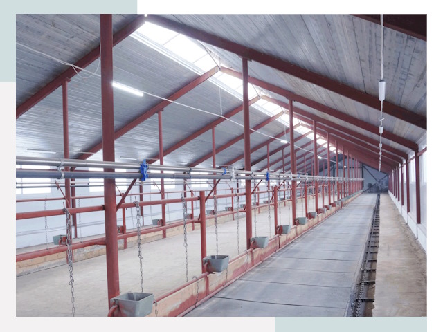 Строительство коровников в Коркине от 623 руб.