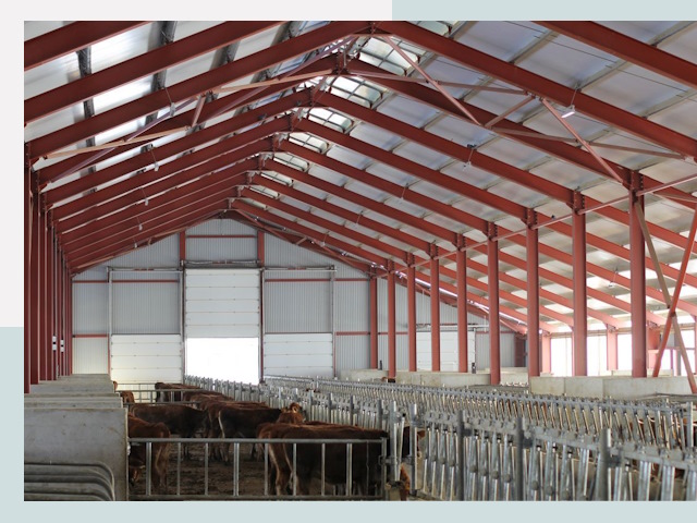 Строительство коровников в Коркине