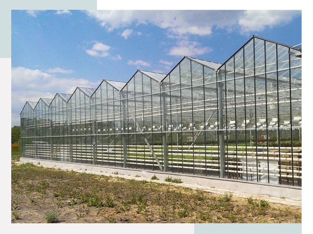 Строительство теплиц в Коркино от 623 руб. за м²