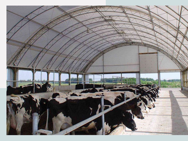 Тентовые коровники в Коркине